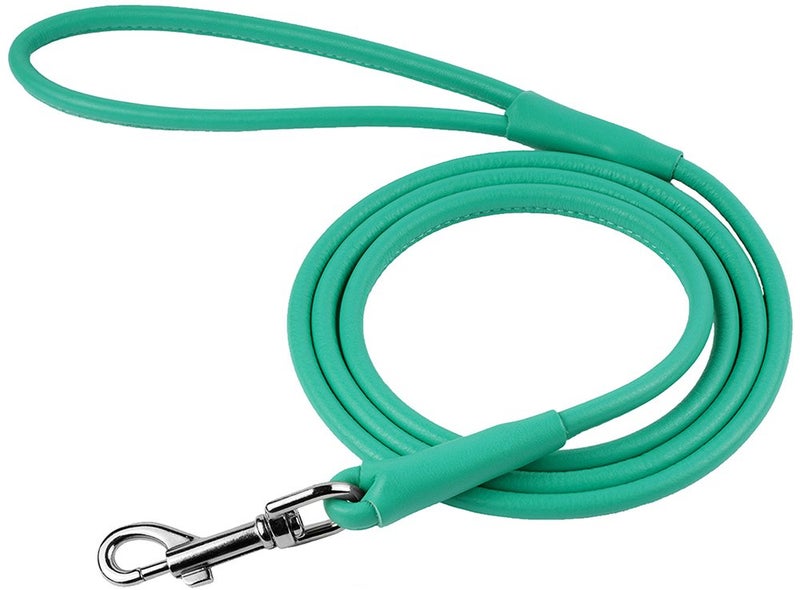 CollarDirect Rolled Leather Dog Leash 4ft, Soft Padded Training Leather Dog Lead 6ft, Puppy Leash Rolled Leather Small Medium Large Black Blue Red Orange Green Pink White (Purple, Size L 6ft) - Image 2